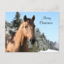 Search for equine christmas cards Merry