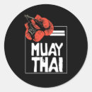 Search for muay thai fighter stickers Boxer