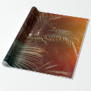 Search for blog gift wrap Background