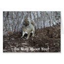 Search for sentiment photography For him