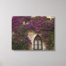 Search for window canvas prints Purple