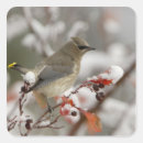 Search for hawthorne stickers Bird