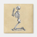 Recherche de anatomie humaine magnets Crâne