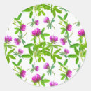 Search for clover Boho