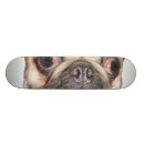 Search for dog skateboards Pug