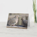 Search for mourning dove cards Doves