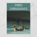 Search for birdwatcher vertical postcards Birds