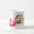 Search for tortoise mugs Sulcata