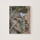 Search for running puzzles Nature