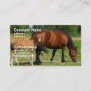 Recherche de jument cheval cartes visite Poulain