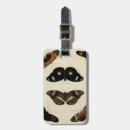 Recherche de arrière plan bagages étiquettes Coloré