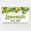 Search for lemonade stand posters Fundraiser