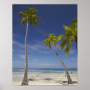 Search for plantation posters Beach