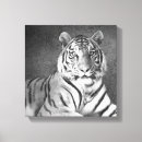Search for white tiger art Wild