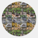 Search for otter stickers Animal