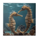 Search for seahorse tiles Sealife