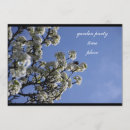 Search for pear tree invitations Flowers