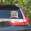 Recherche de faune australienne autocollants Koala