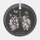 Search for illustration ornaments Butterfly