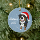 Search for bernese mountain dog ornaments Berner