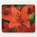 Search for tiger lily mousepads Garden