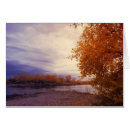 Search for along cards Nature