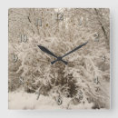 Search for winter clocks White