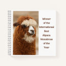 Search for alpaca notebooks Cute