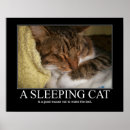 Search for sleep posters Sayings