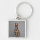 Search for weimaraner keychains Studio shot