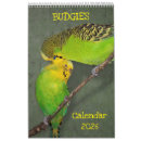 Search for budgie bird office supplies Budgies