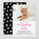 Recherche de chaton noir et blanc invitations Animal