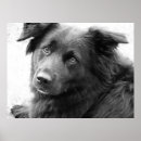 Recherche de mut posters Chien