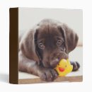 Search for rubber duck office supplies Cute