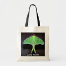 Recherche de luna sacs Insecte