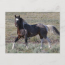 Recherche de archer de ken cartes postales Cheval