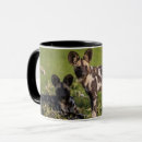 Search for wild dog mugs Dogs