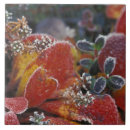 Search for fall winter tiles Leaf