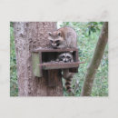Recherche de cocon cartes postales Mignon