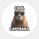 Search for capybara crafts party Humour