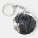 Search for black labrador keychains Puppy