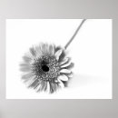 Recherche de aléatoire posters Décoration