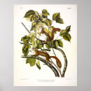 Search for hudsons bay posters Colour