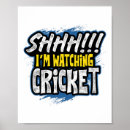 Search for cricket fan posters Batsman