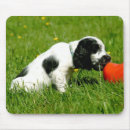Search for cocker mousepads Dog