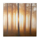 Recherche de paysage paysage carreaux Aube