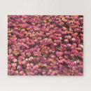 Recherche de lierre puzzles Feuille