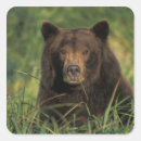 Search for national animal stickers Fauna