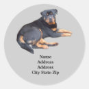 Recherche de rotation autocollants Rottweiler