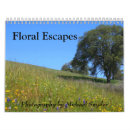 Recherche de fleurs calendriers Mother